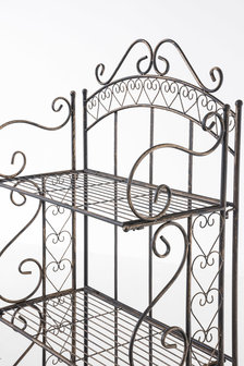 Plantenrek Entja bronze, 