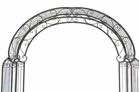 Rozenboog Alissea bronze, 