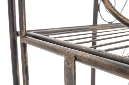 Plantenrek Caari bronze, 