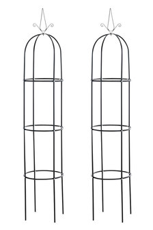 Rozenzuil Ramontika Zwart,2er Set