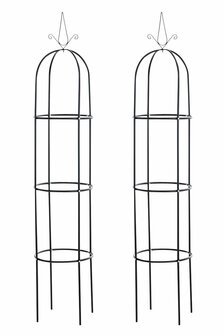 Ramontika klimzuil Zwart,2er Set