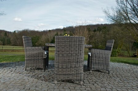 Tuinset Wicker Panelli Grijs-meliert,CremeWit