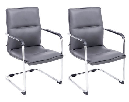 Set van 2 bezoekersstoelen Siittli kunstleer Grijs