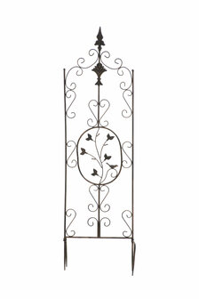 Klimplantenhulp  Berges bronze, 