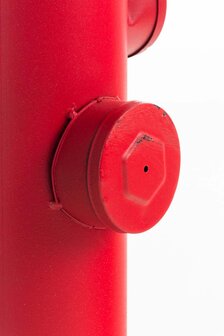 Bartafel Rehr Rood