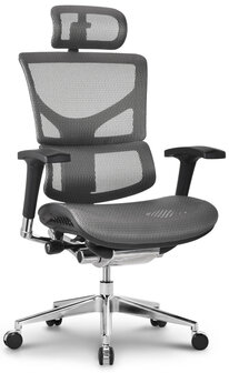 Ergonomische Bureaustoel Spokane Grijs
