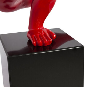 Marin - Rood - Glasvezel