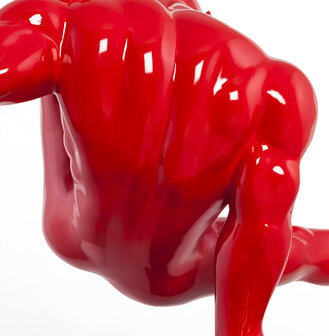Marin - Rood - Glasvezel