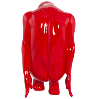 Ridan - Rood - Glasvezel