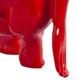 Ridan - Rood - Glasvezel