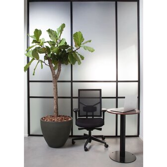 Workliving Npr1813 Zuidas Mesh - Bureaustoel Ergonomisch Design Arbo Default Title