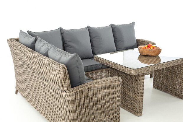 Lounge Dining Set Bormee 5mm natura,eisenGrijs