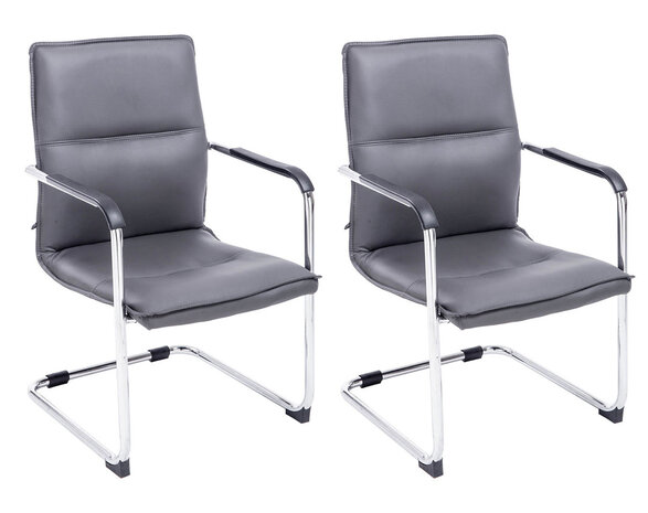 Set van 2 bezoekersstoelen Siittli kunstleer Grijs