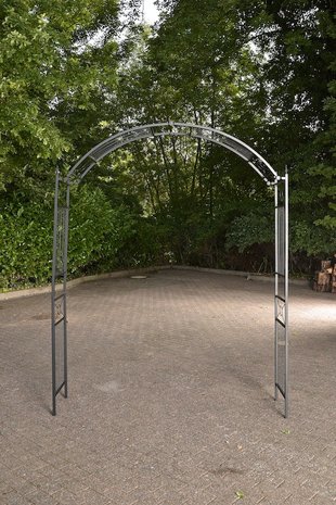 Rozenboog Flixe Zwart