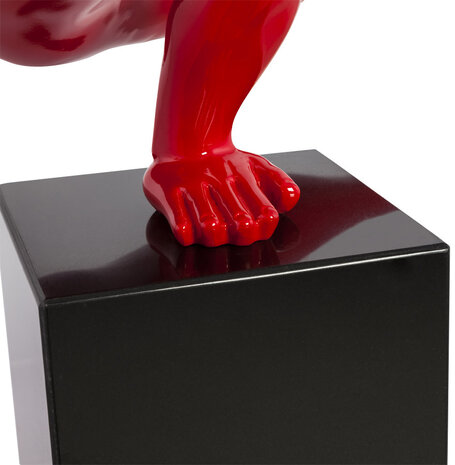 Marin - Rood - Glasvezel