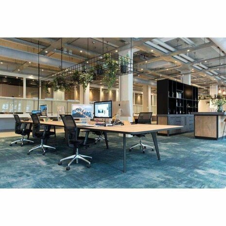 Workliving Projectas V2 Mesh - Bureaustoel Ergonomisch Design (N)En 1335 Default Title