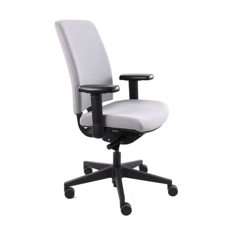 Workliving Npr1813 Jaarbeurs-Special Grijs - Bureaustoel Ergonomisch Design Arbo Default Title