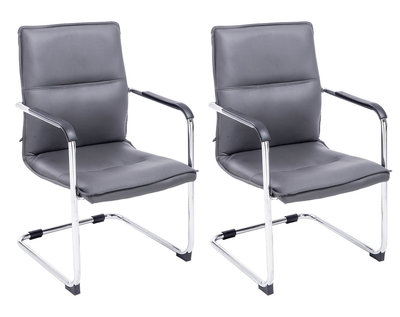 Set van 2 bezoekersstoelen Siittli kunstleer Grijs