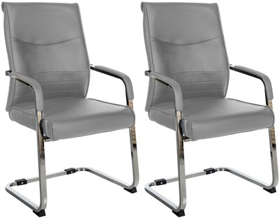 Set van 2 bezoekersstoelen Habort, Grijs